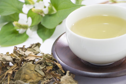 どくだみ茶の効能とは?|副作用はあるのかなども加えて解説します!