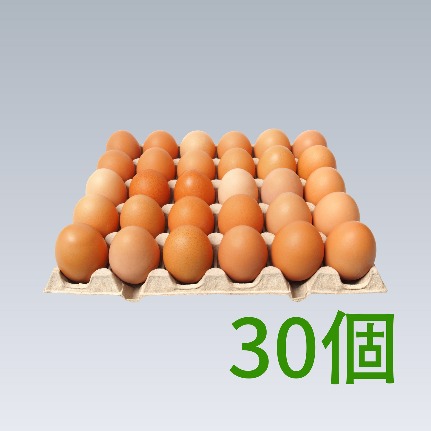 九州育ちの平飼い有精卵